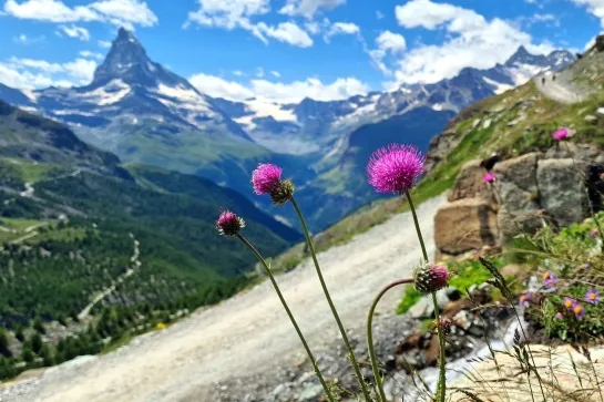chamonix zermatt