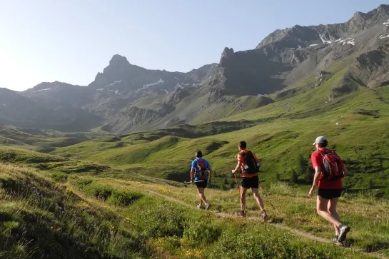 trail sous la tete d estoilies fral50