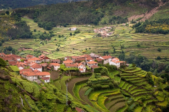 panorama sistelo