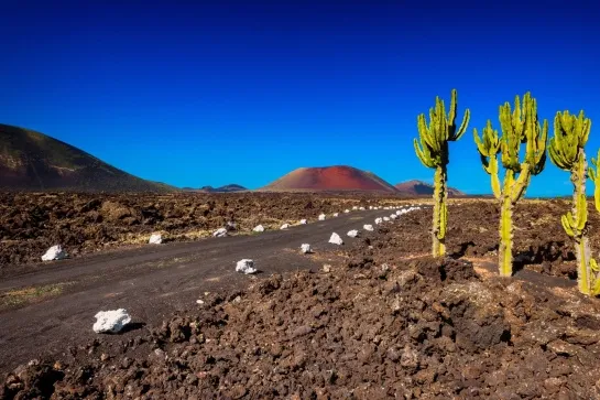 timanfaya national park 1600