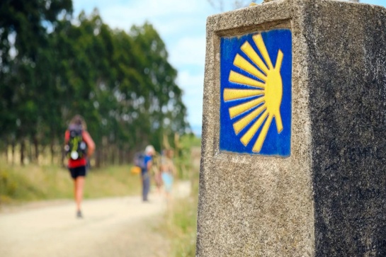 Chemin de Compostelle, étape 1 : Du Puy-en-Velay à Aumont-Aubrac