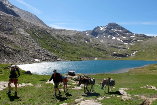 Traversée du Queyras en famille avec un âne