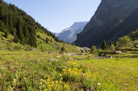 Les glaciers de la Vanoise