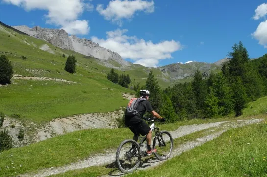 vtt provence