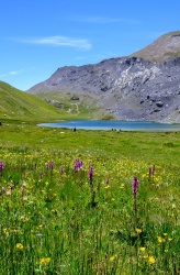 Randonnée occitane entre Ubaye et Val Maira