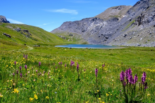 Randonnée occitane entre Ubaye et Val Maira