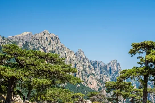 aiguilles de bavella corse fragr201
