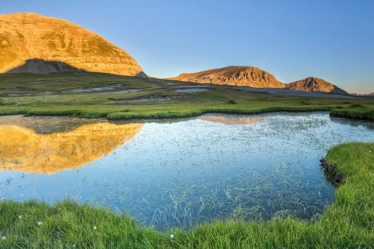 lac lignin