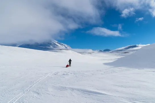 pulka ski rando