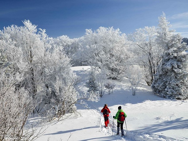 Le Vercors en ski de fond