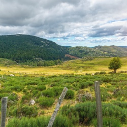 Chemin de Stevenson, étape 1 : Du Puy-en-Velay à Chasseradès
