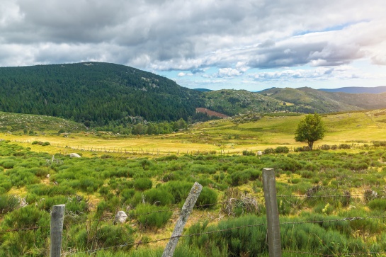 Chemin de Stevenson, étape 1 : Du Puy-en-Velay à Chasseradès