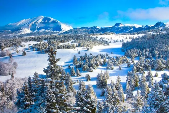 hauts plateaux vercors raquettes