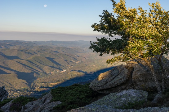 Le Caroux, terre ensoleillée des Cévennes