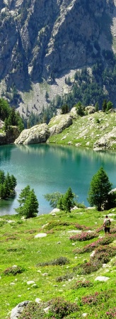 Lac du Mercantour