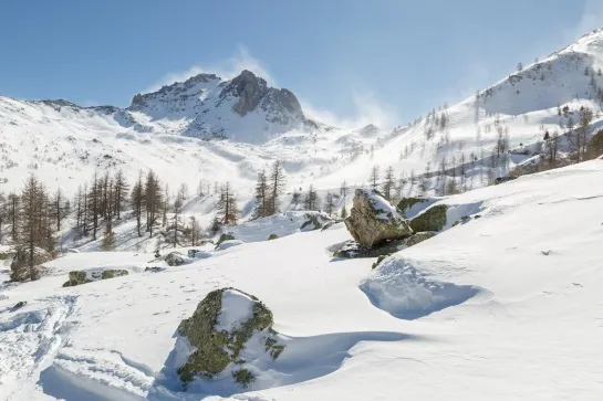 claree ski