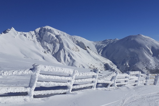Les Volcans d'Auvergne en raquettes