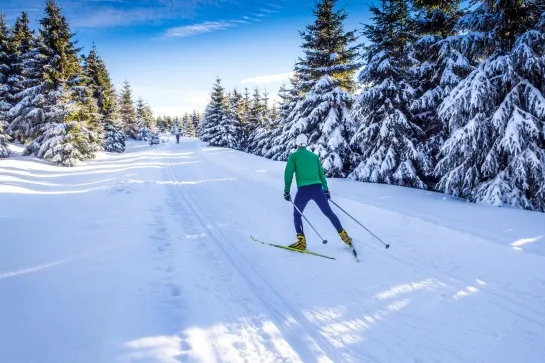 skating vercors bis