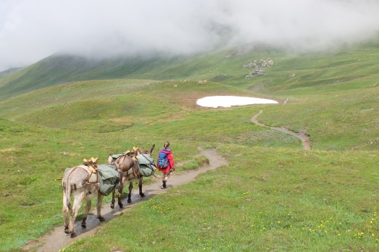 Premier bivouac en Queyras avec un âne