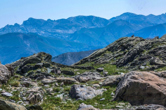 Découverte des Merveilles du Mercantour