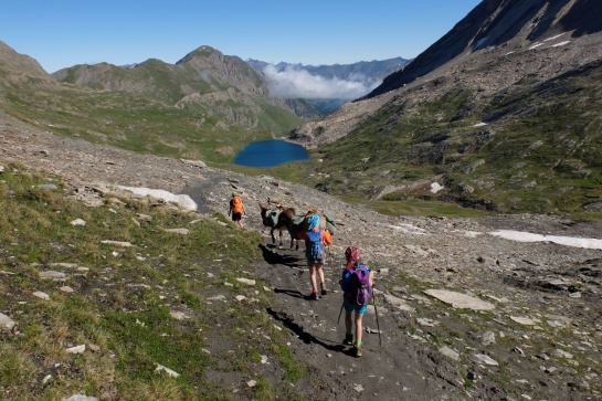 Tour du Queyras famille avec un âne