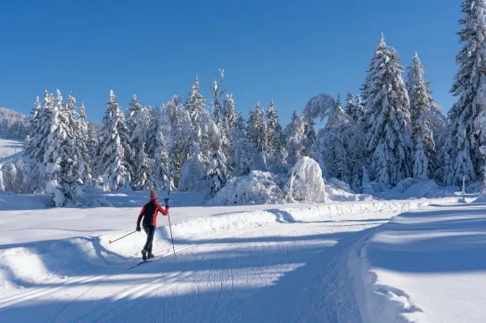ski de fond