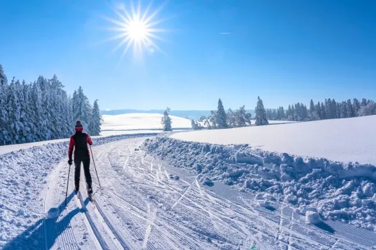 perfectionnement skating vercors