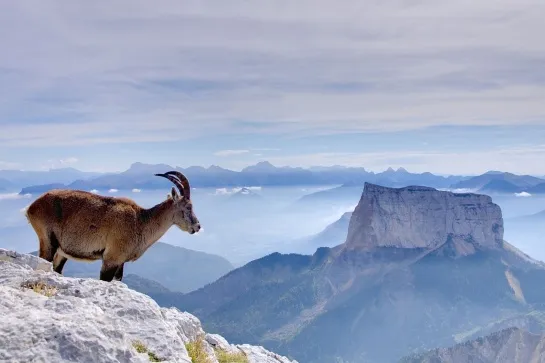 le mont aiguille vercors randonnee