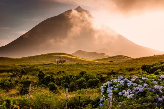 pico ile acores rando