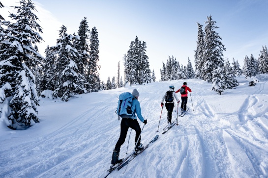 Découverte de la Clarée en ski de randonnée nordique