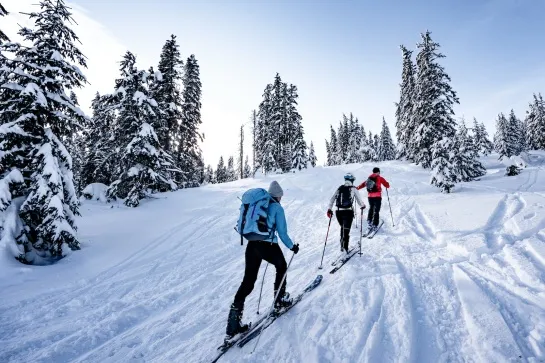 ski rando nordique claree