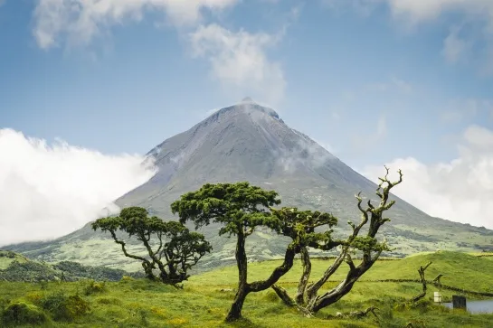 mont pico