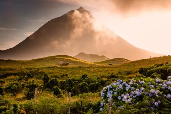 pico ile acores