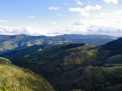 Détail
