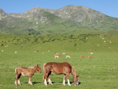 Détail