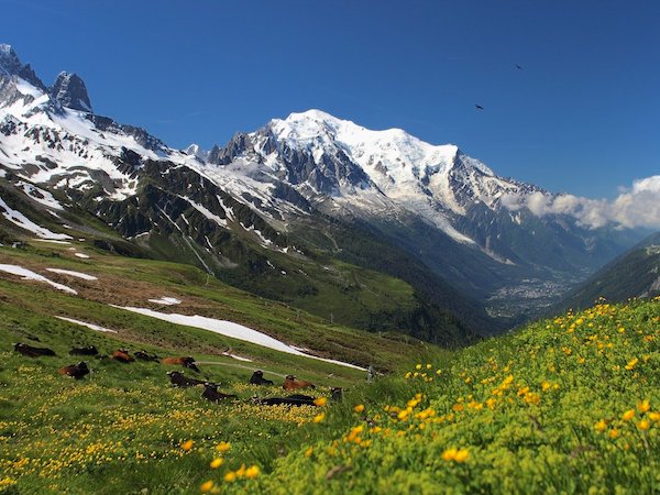 Mont-Blanc (4810m)