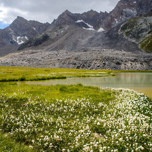 Ubaye Col de Mary randonnée