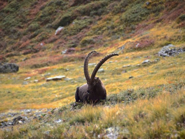 Trésors de faune et de flore