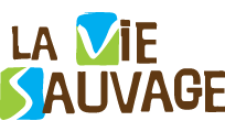 Logo La Vie Sauvage