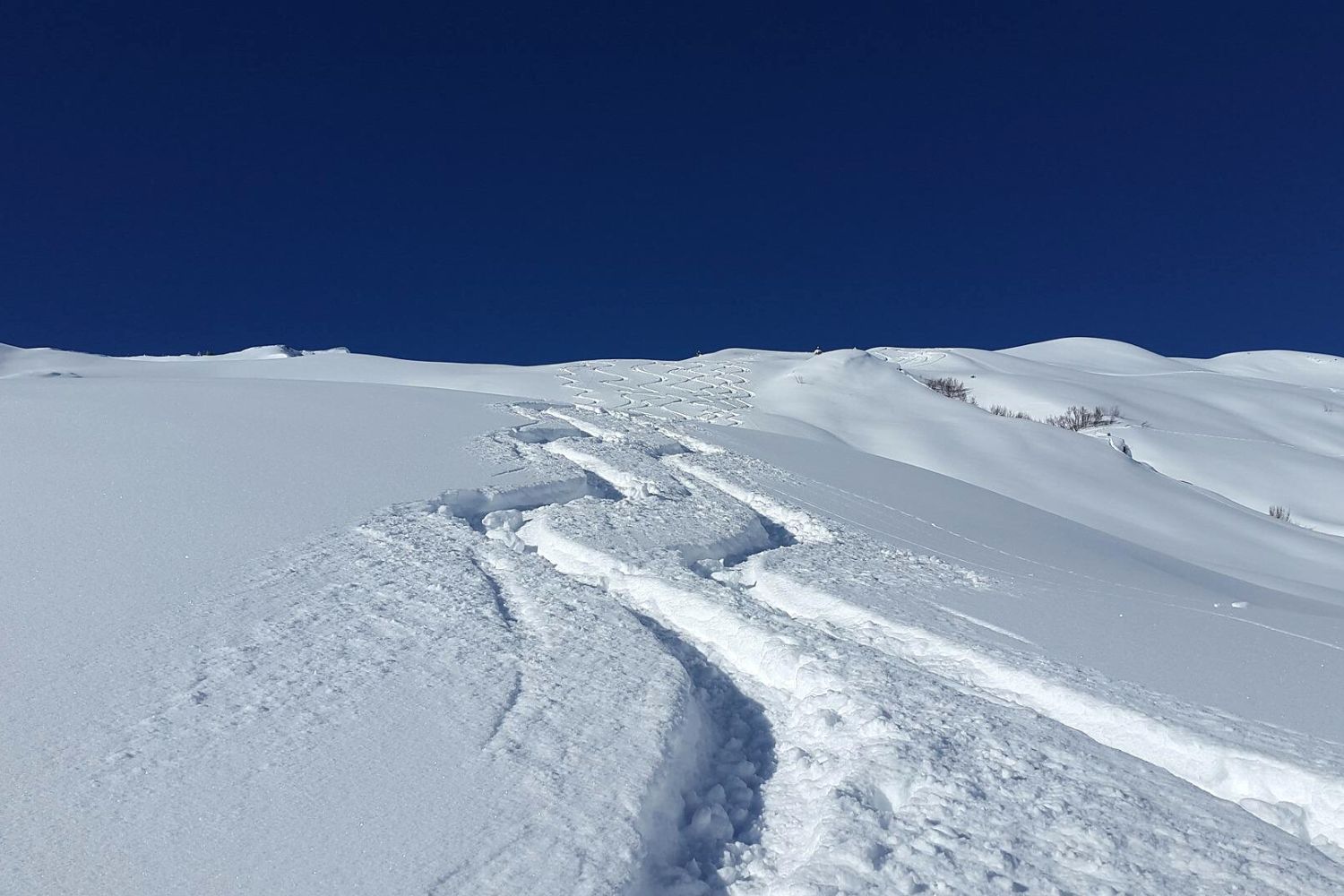ski de randonnée nordique ou ski de fond