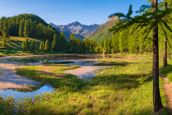 Focus : le lac de Roue dans le Queyras